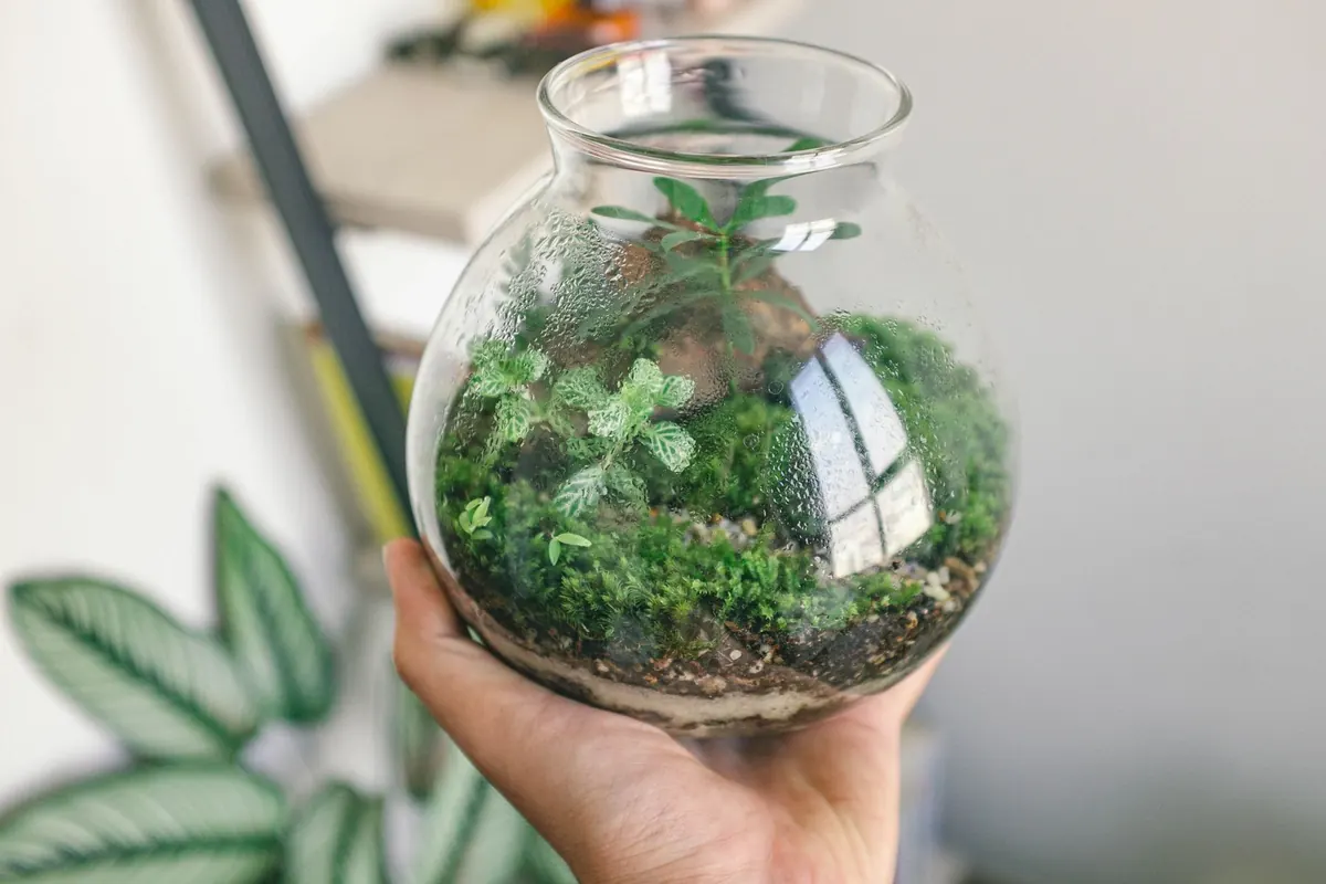 Comparing Sphagnum, Sheet Moss and Cushion Moss for Terrariums